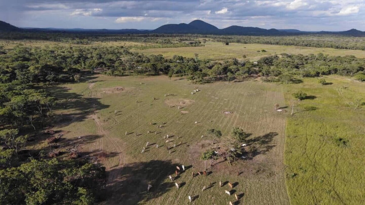 Photo of Outdoor in Zambia