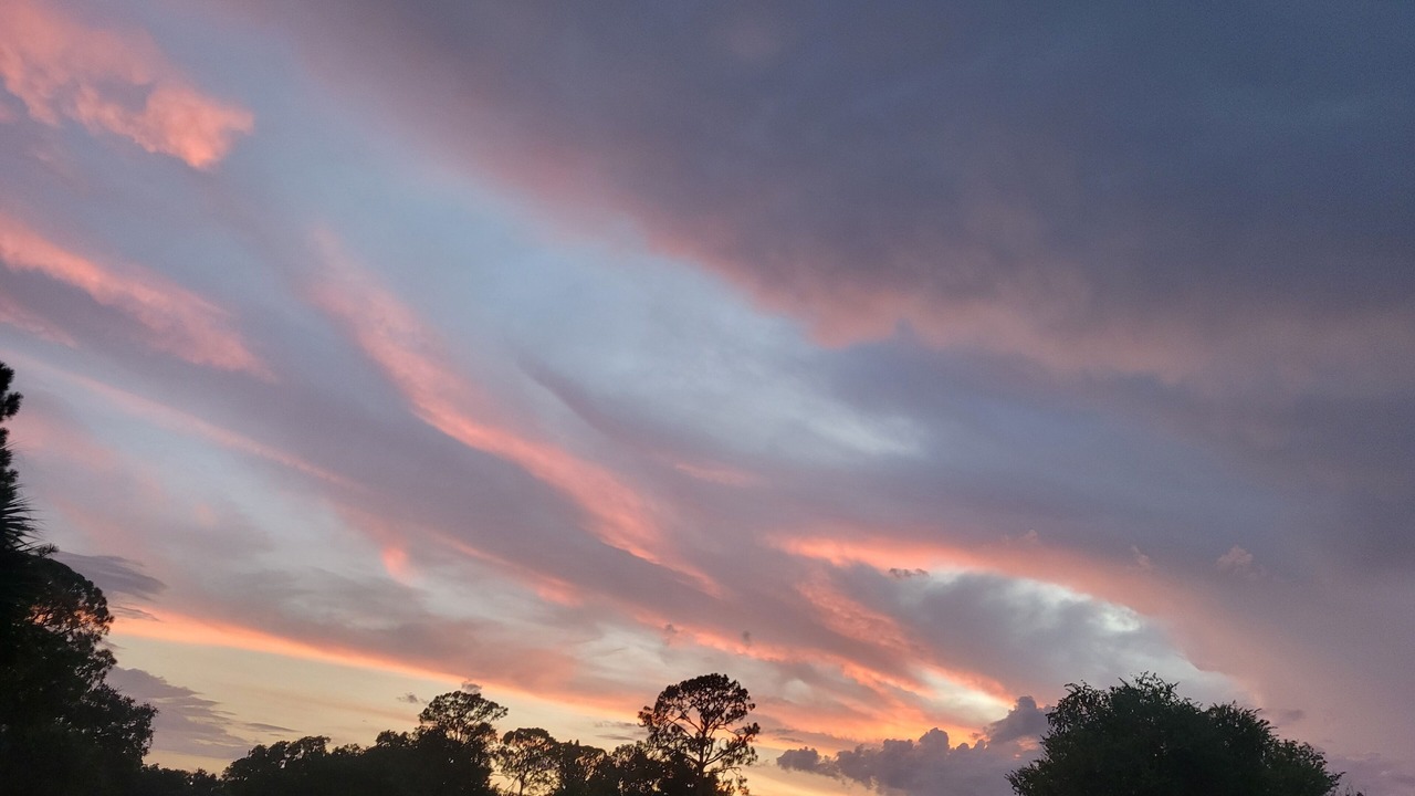 Photo of Others in Braden River