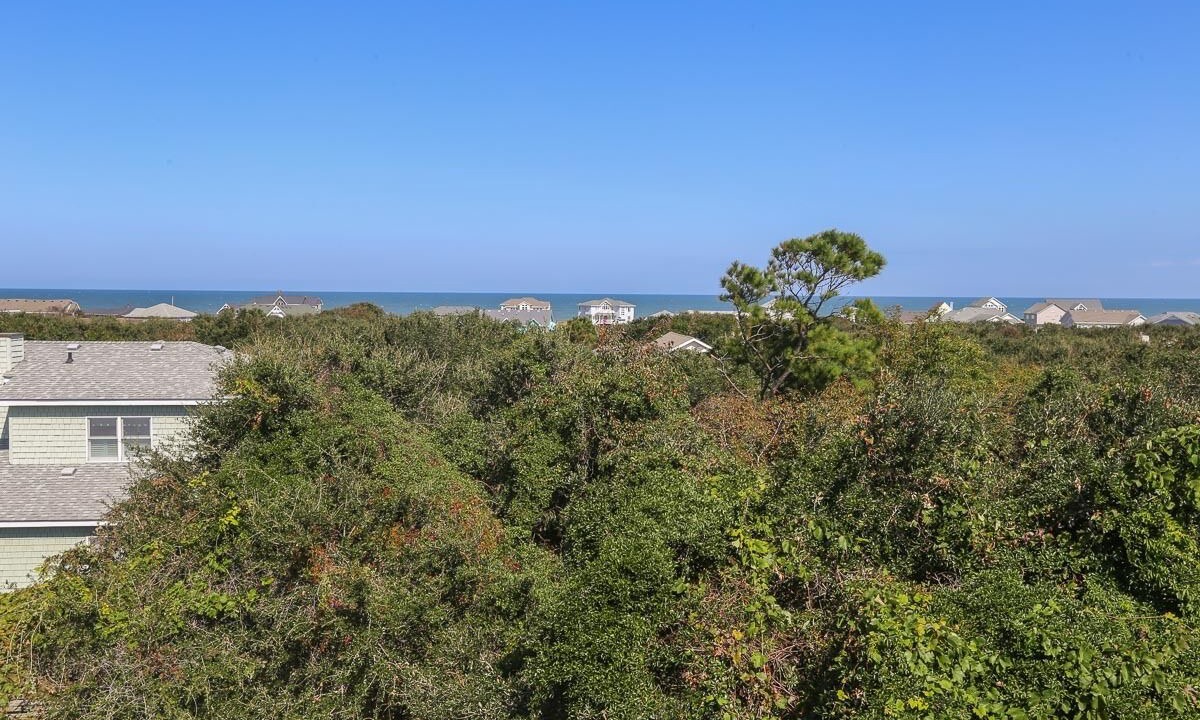 Photo of Outdoor in Southern Shores