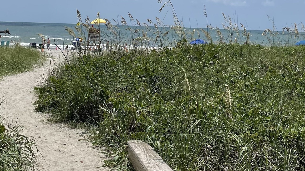 Photo of Others in Cape Caneveral Beach Gardens