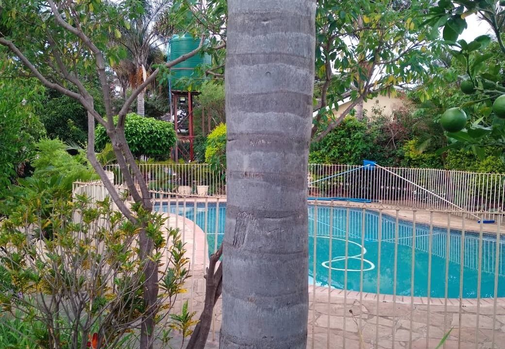Photo of Outdoor in Harare