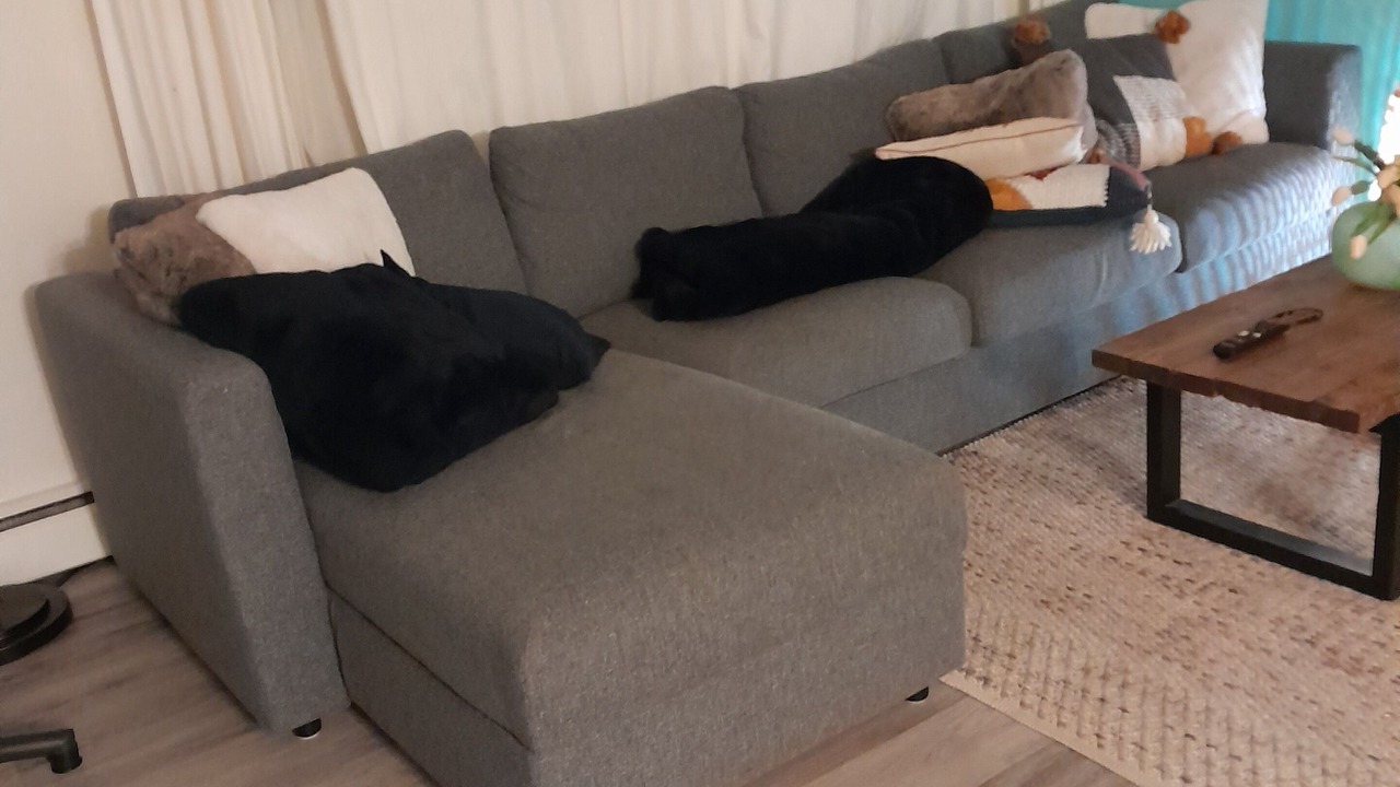 Photo of Livingroom in Bulawayo
