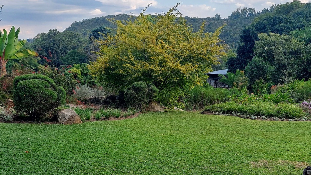 Photo of Outdoor in Harare East