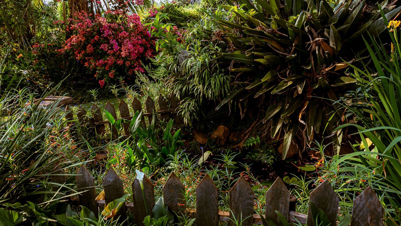 Photo of Outdoor in Harare
