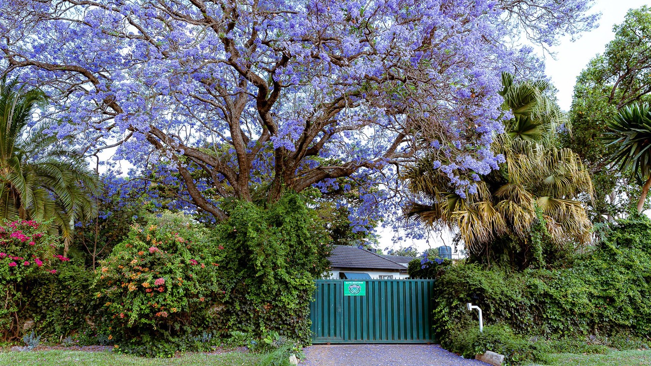 Photo of Outdoor in Harare