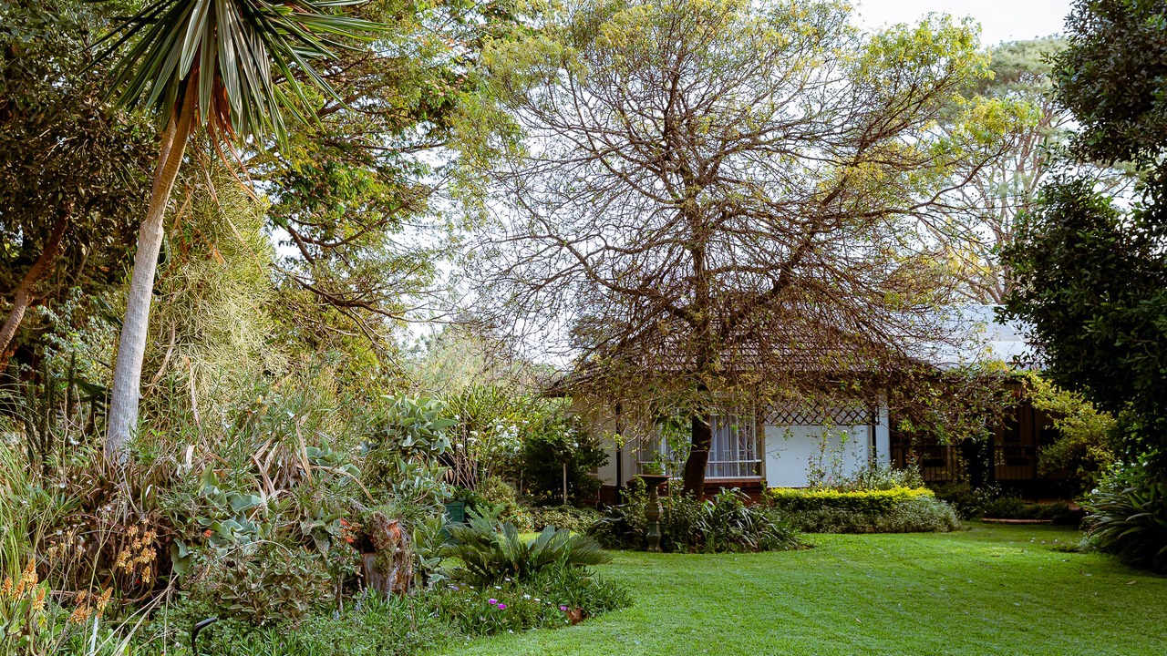 Photo of Outdoor in Harare
