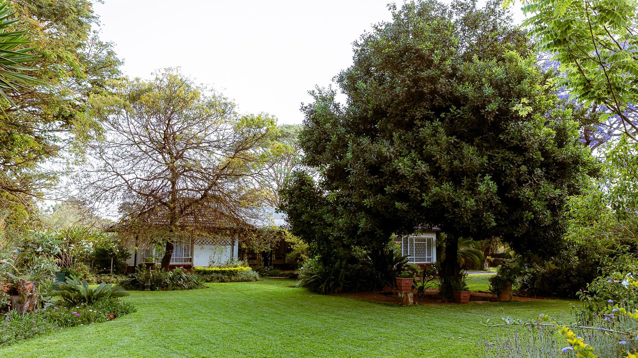 Photo of Outdoor in Harare
