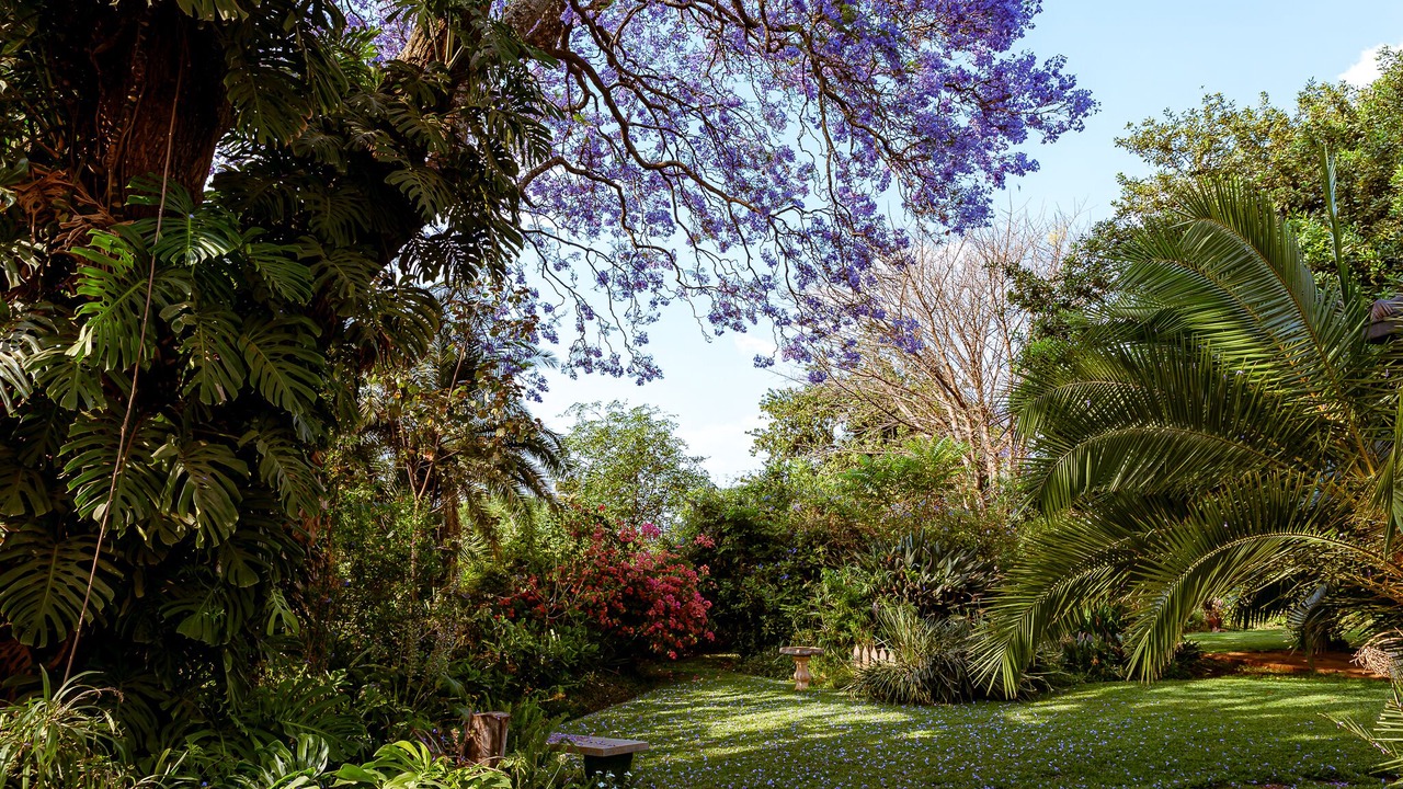Photo of Outdoor in Harare