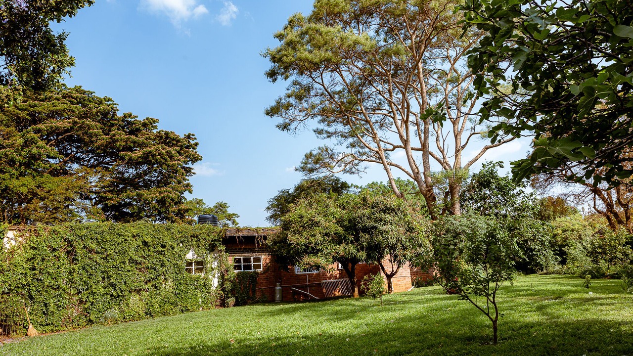 Photo of Outdoor in Harare