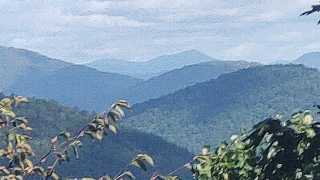Photo of Others in Townsend