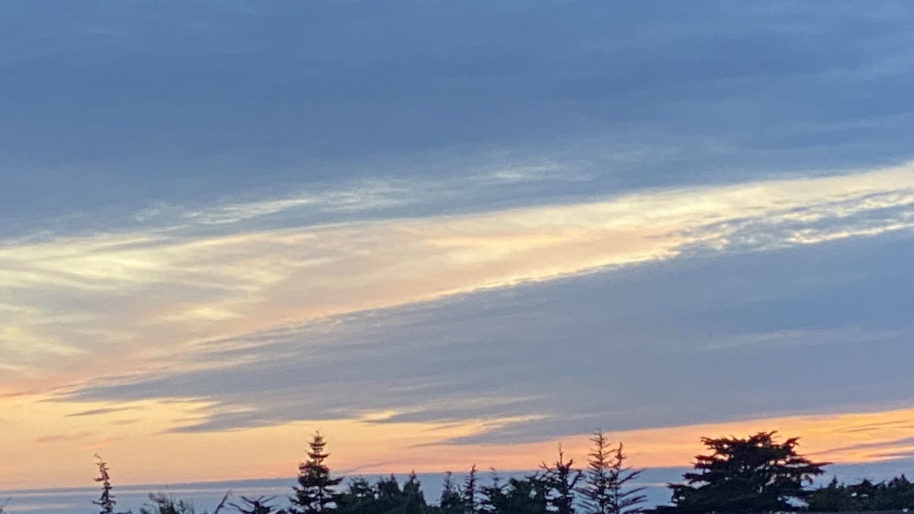 Photo of Others in Mendocino