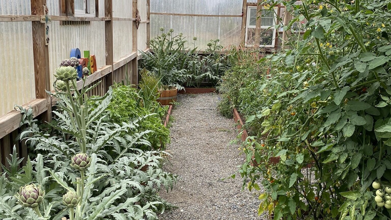 Photo of Others in Mendocino
