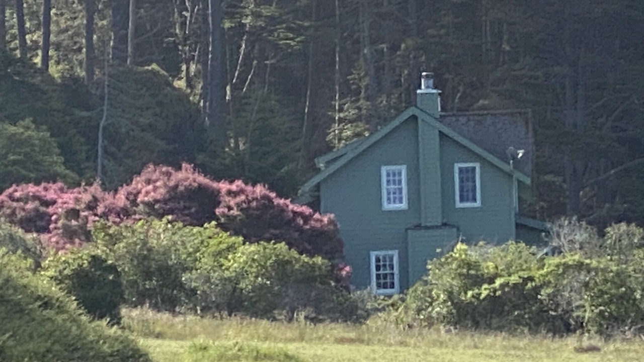 Photo of Outdoor in Mendocino