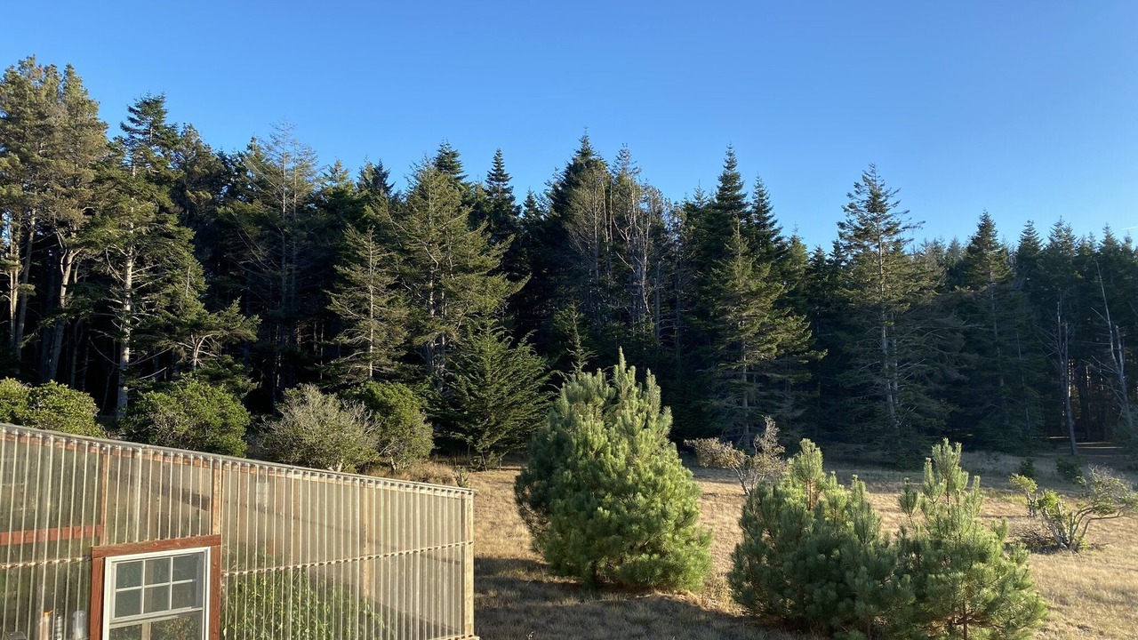 Photo of Others in Mendocino
