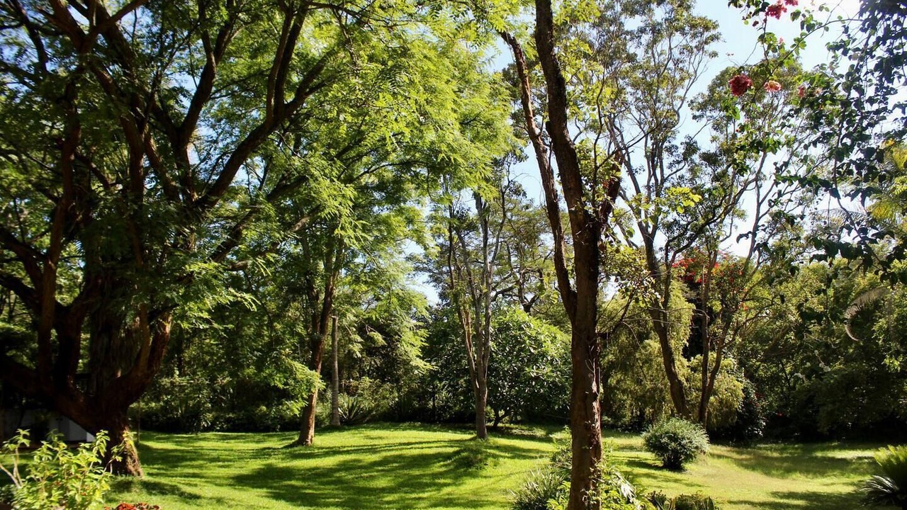 Photo of Outdoor in Mutare