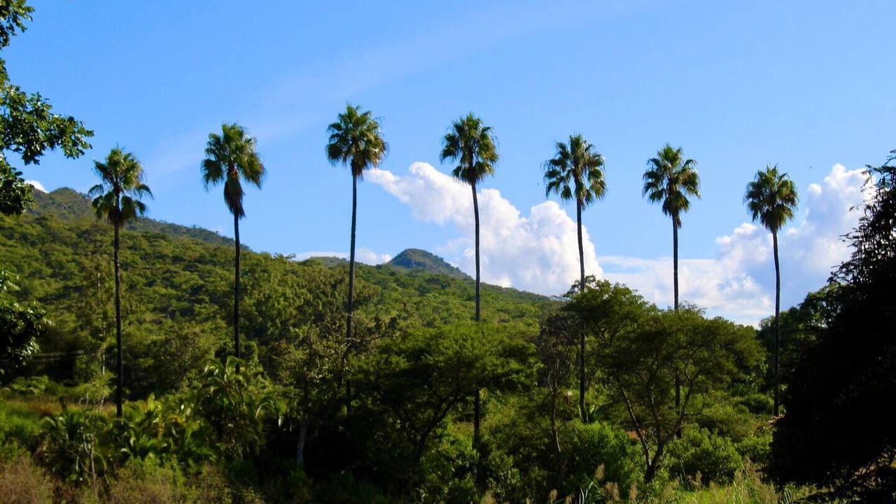 Photo of Outdoor in Mutare