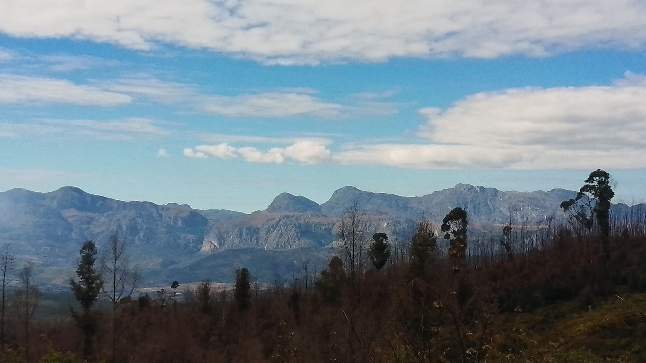 Photo of Others in Chimanimani