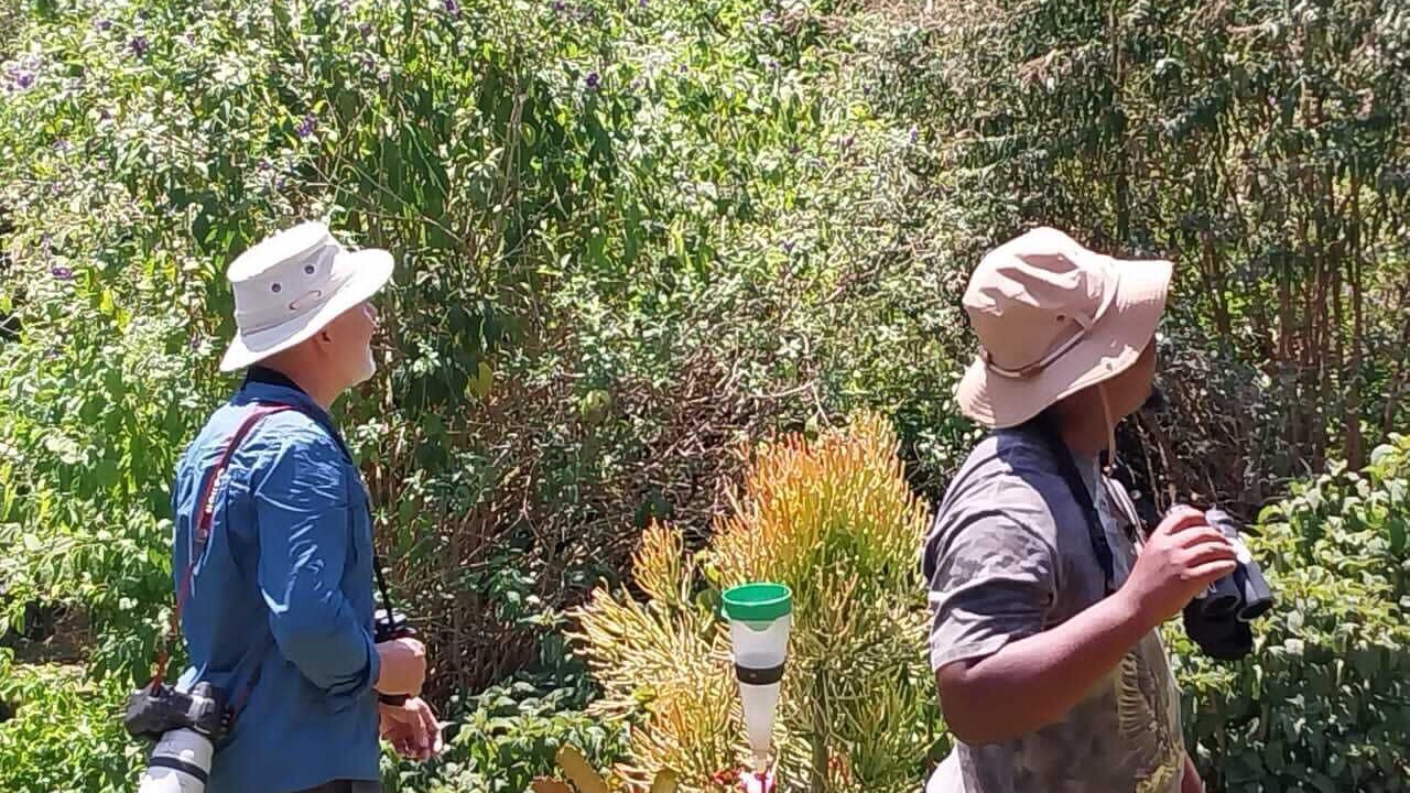 Photo of Outdoor in Chimanimani
