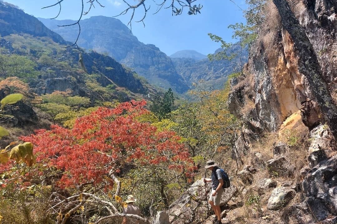 Photo of Outdoor in Chimanimani