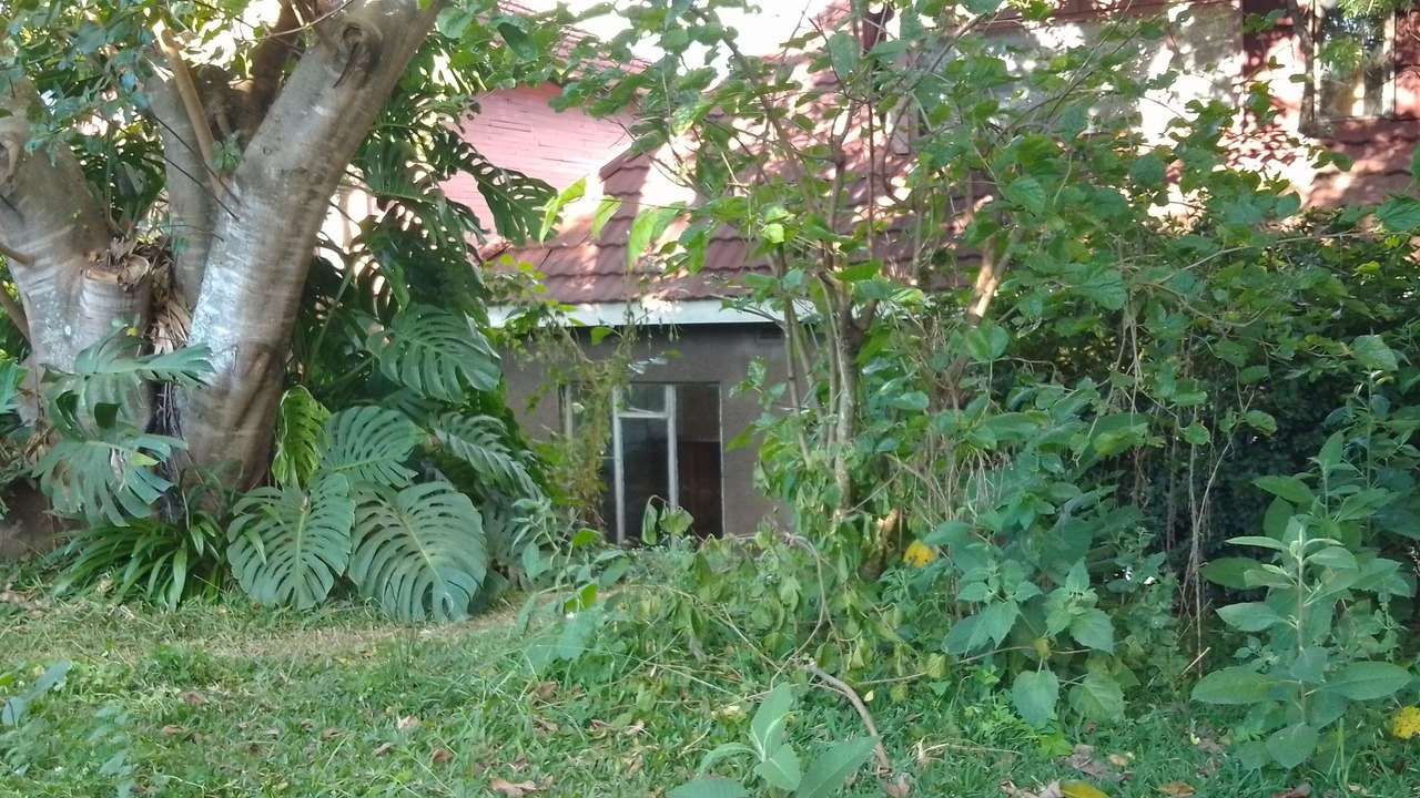 Photo of Outdoor in Chimanimani