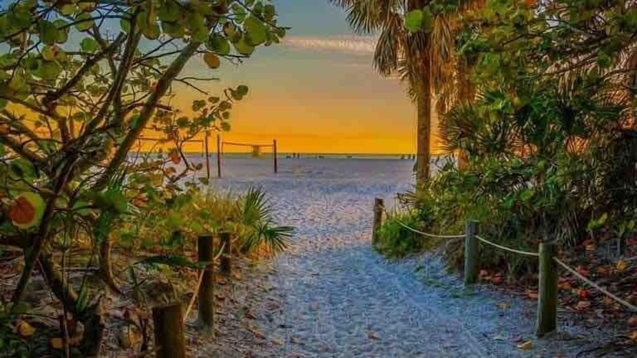 Photo of Others in Siesta Key