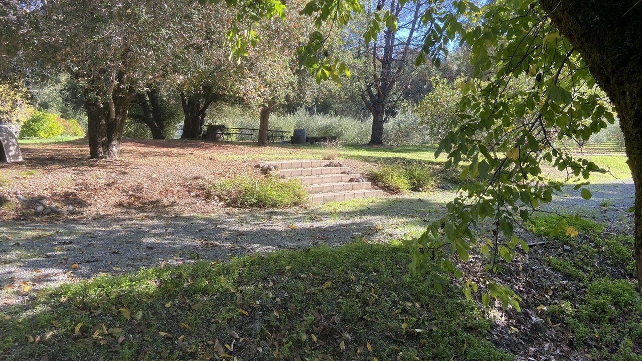 Photo of Outdoor in Cloverdale