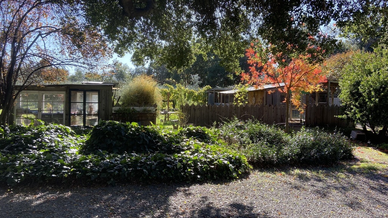 Photo of Outdoor in Cloverdale