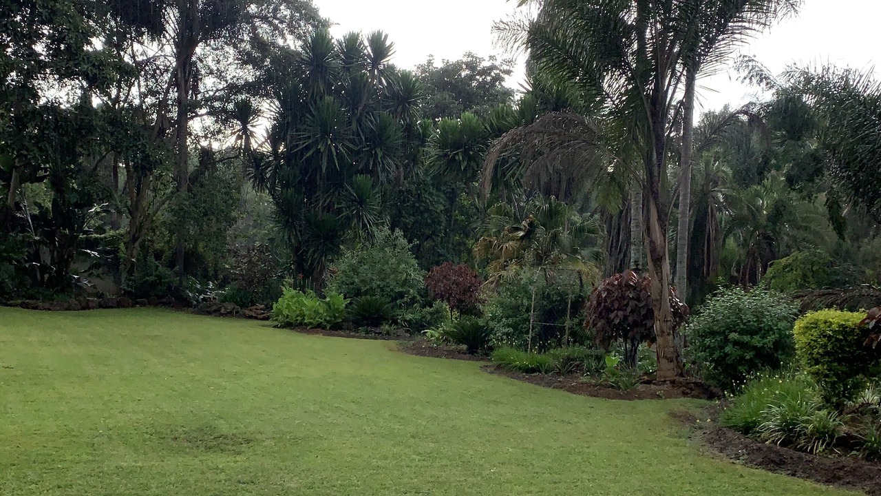 Photo of Outdoor in Harare East