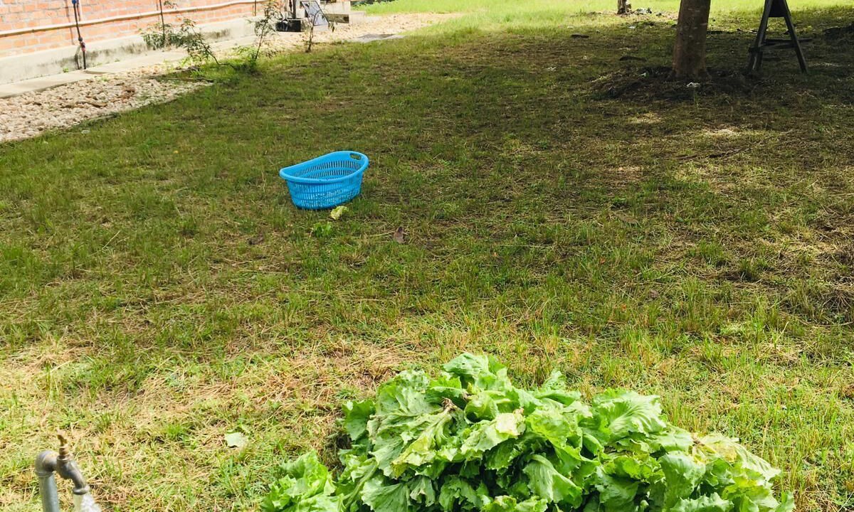 Photo of Outdoor in Solwezi