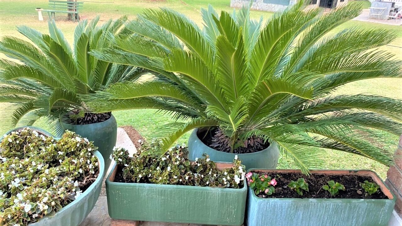 Photo of Outdoor in Bulawayo