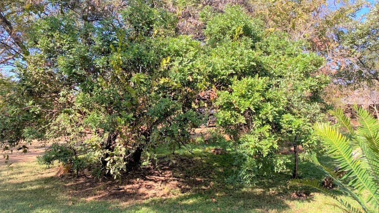 Photo of Outdoor in Bulawayo