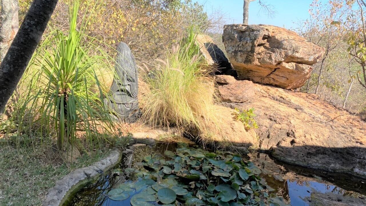 Photo of Outdoor in Bulawayo