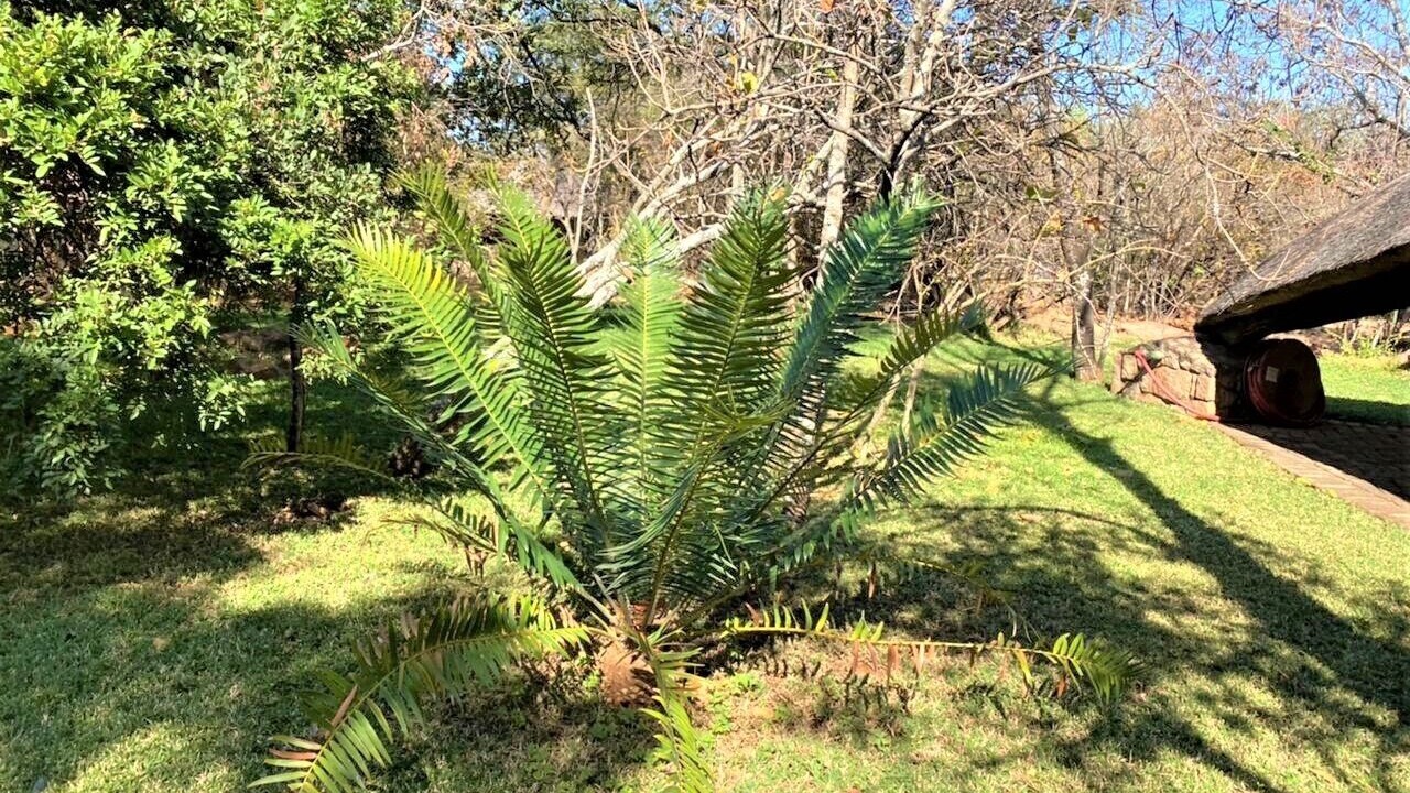 Photo of Outdoor in Bulawayo