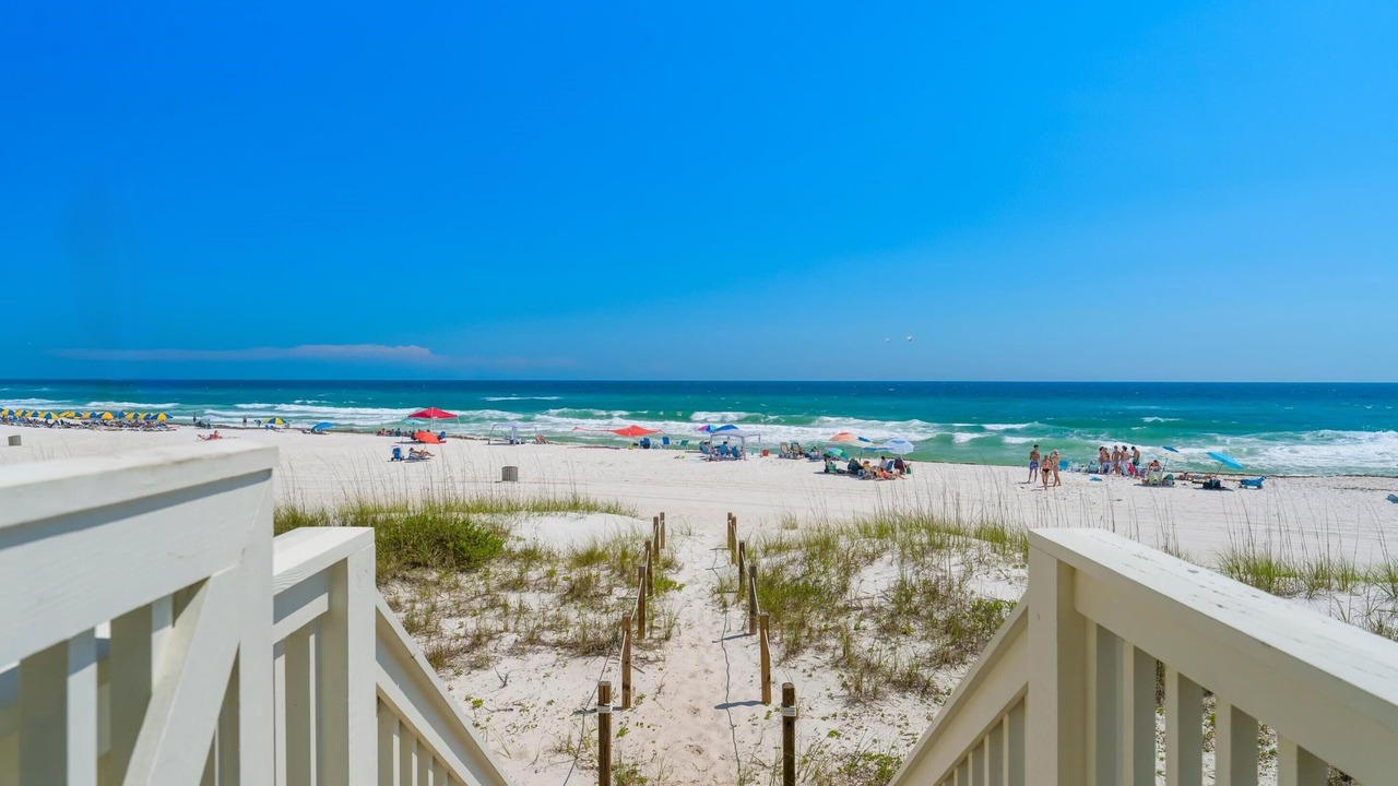Photo of Others in West Panama City Beach