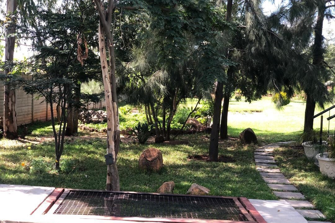 Photo of Outdoor in Harare