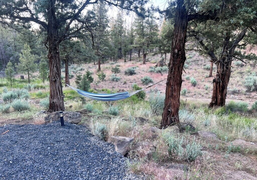 Photo of Others in Redmond