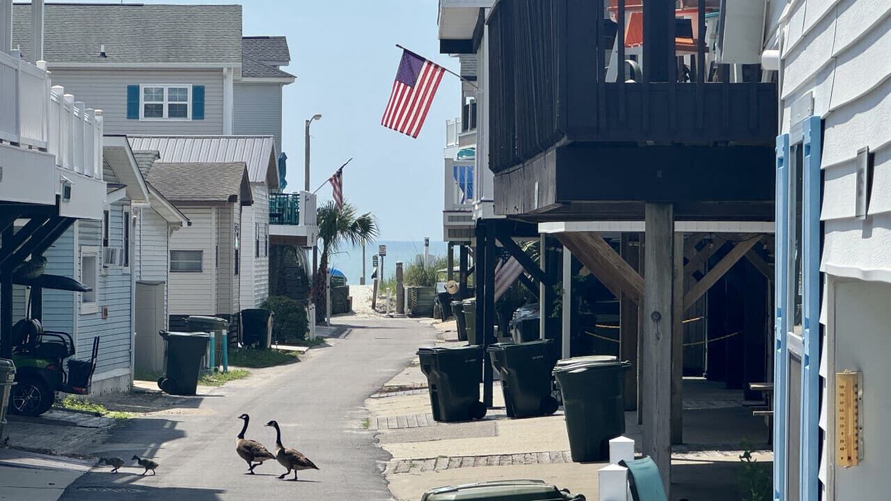 Photo of Others in Surfside Beach