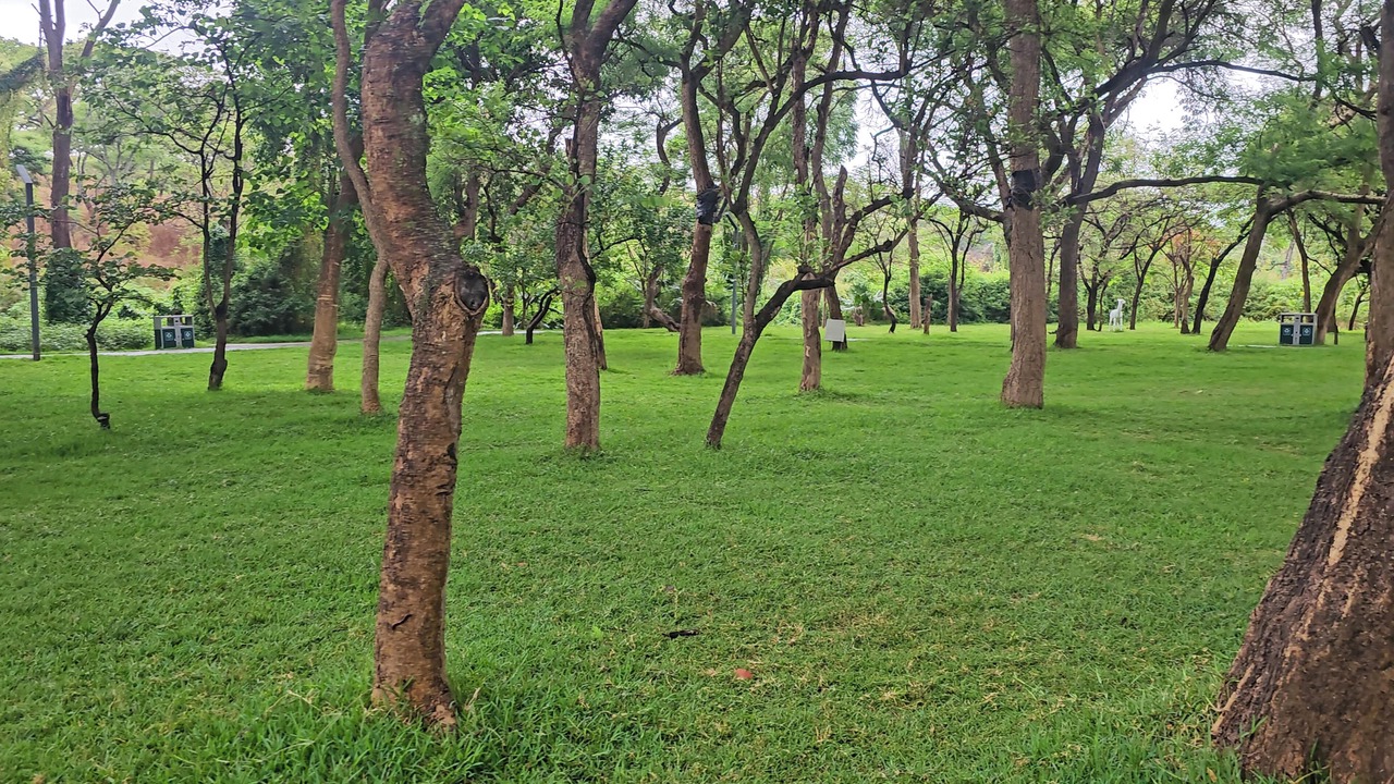 Photo of Outdoor in Cathedral Hill