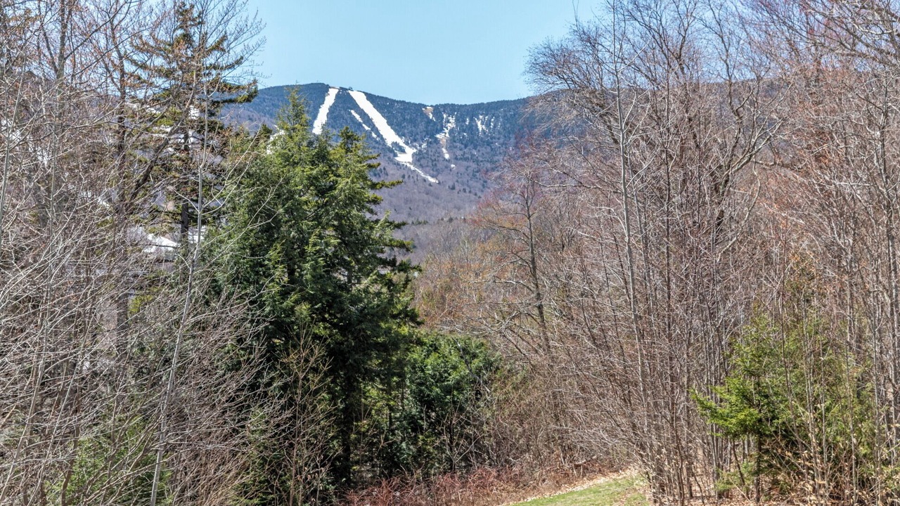 Photo of Others in Warren