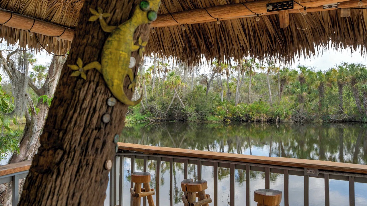 Photo of Others in Braden River