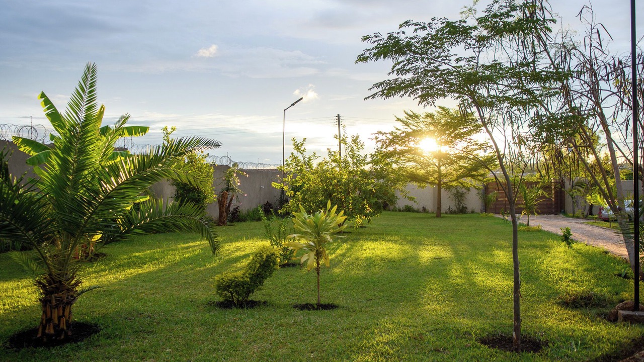 Photo of Outdoor in Lusaka