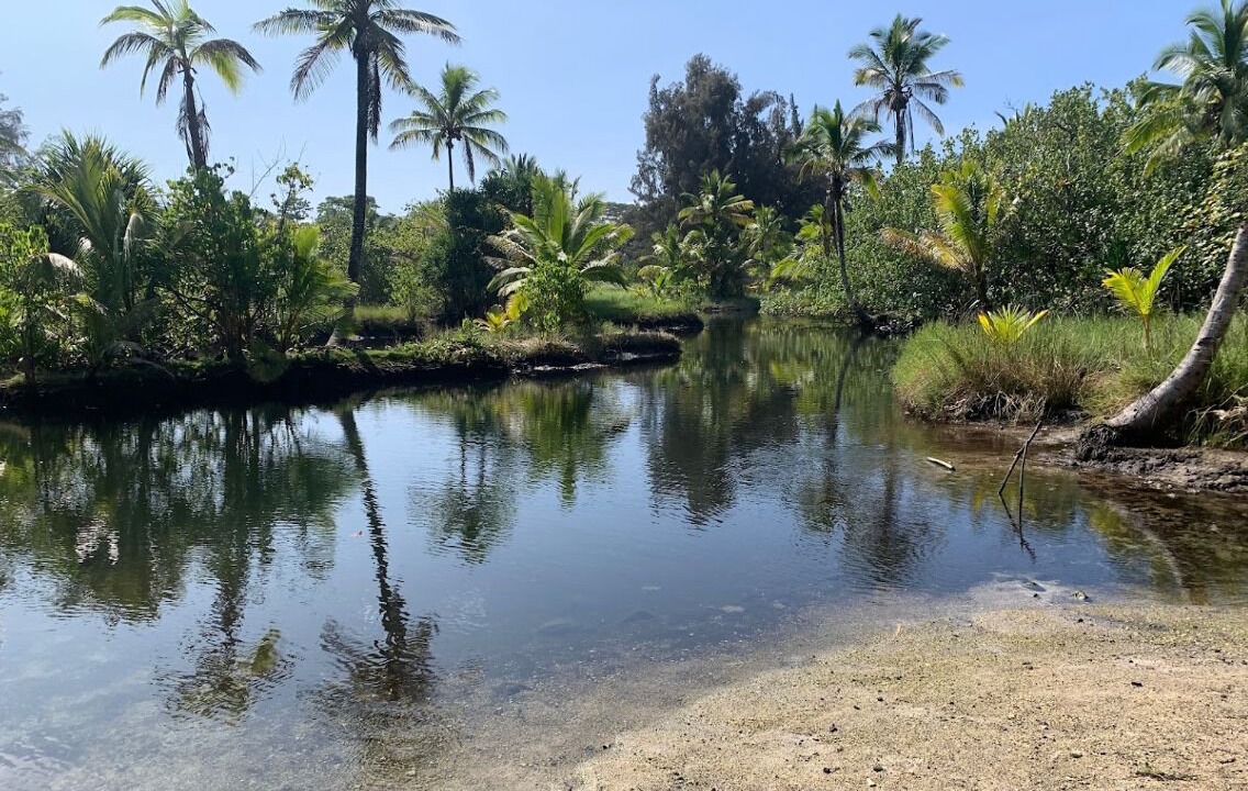 Photo of Others in Keaukaha