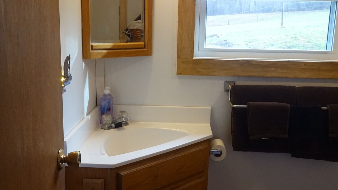 Photo of Bathroom in Roxbury