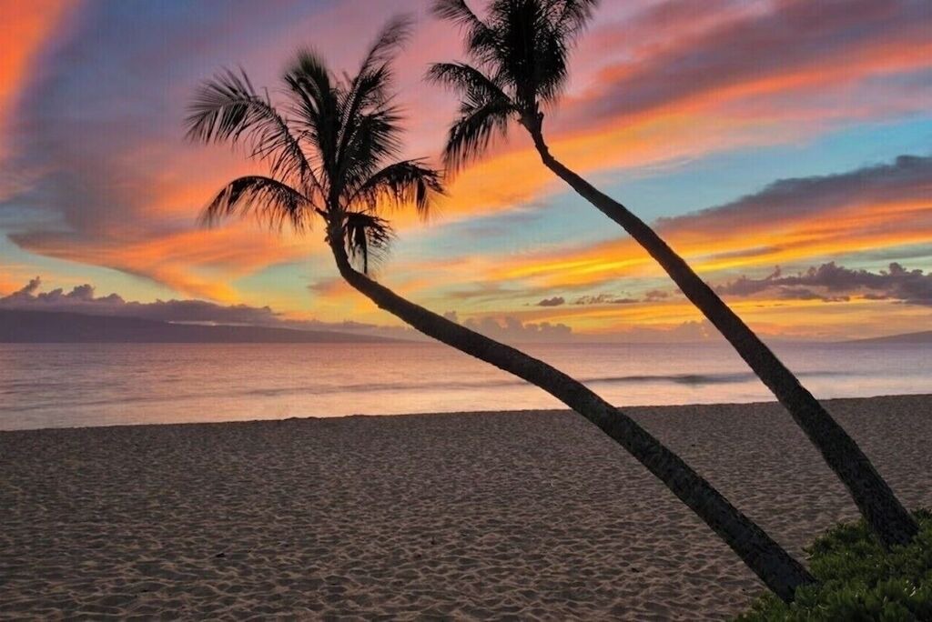 Photo of Others in Kaanapali
