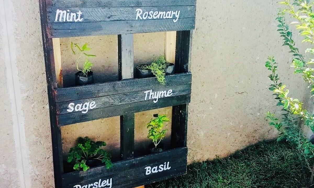 Photo of Outdoor in Bulawayo