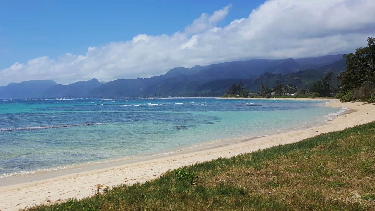 Photo of Others in North Shore
