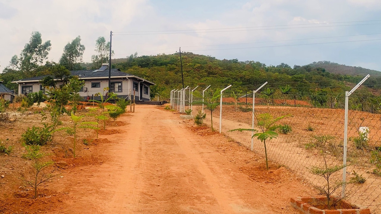 Photo of Outdoor in Juliasdale