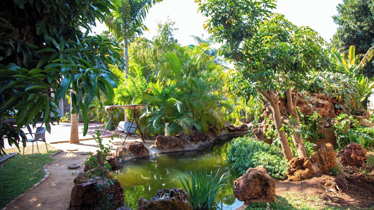 Photo of Outdoor in Harare