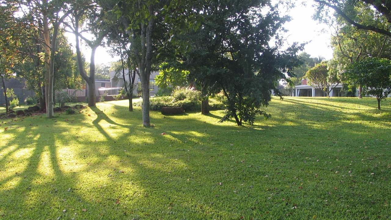 Photo of Outdoor in Harare