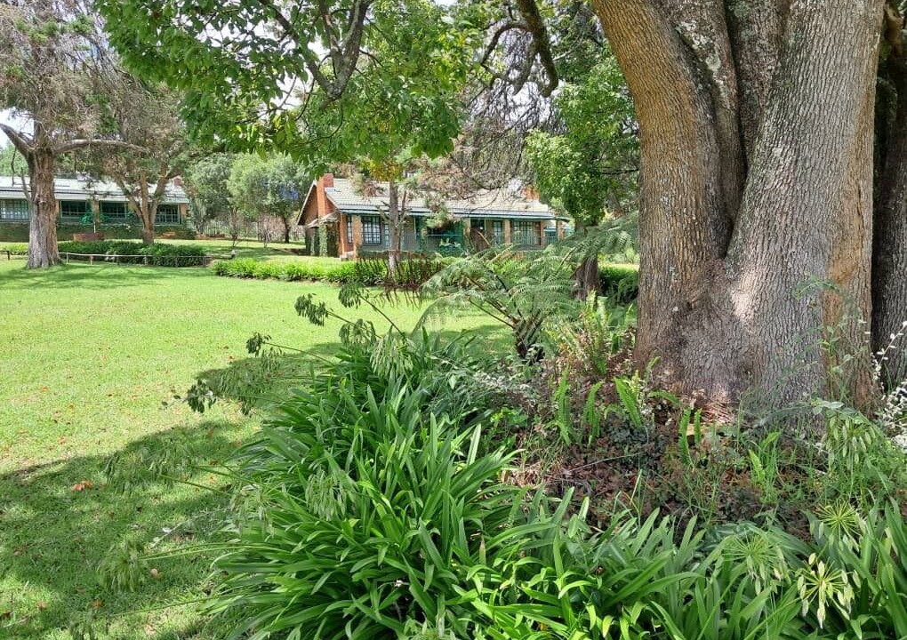 Photo of Outdoor in Zimbabwe